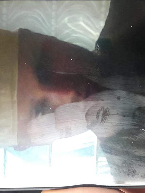 Тамара привлекательная девушка из Суходольска цена от 3000 руб